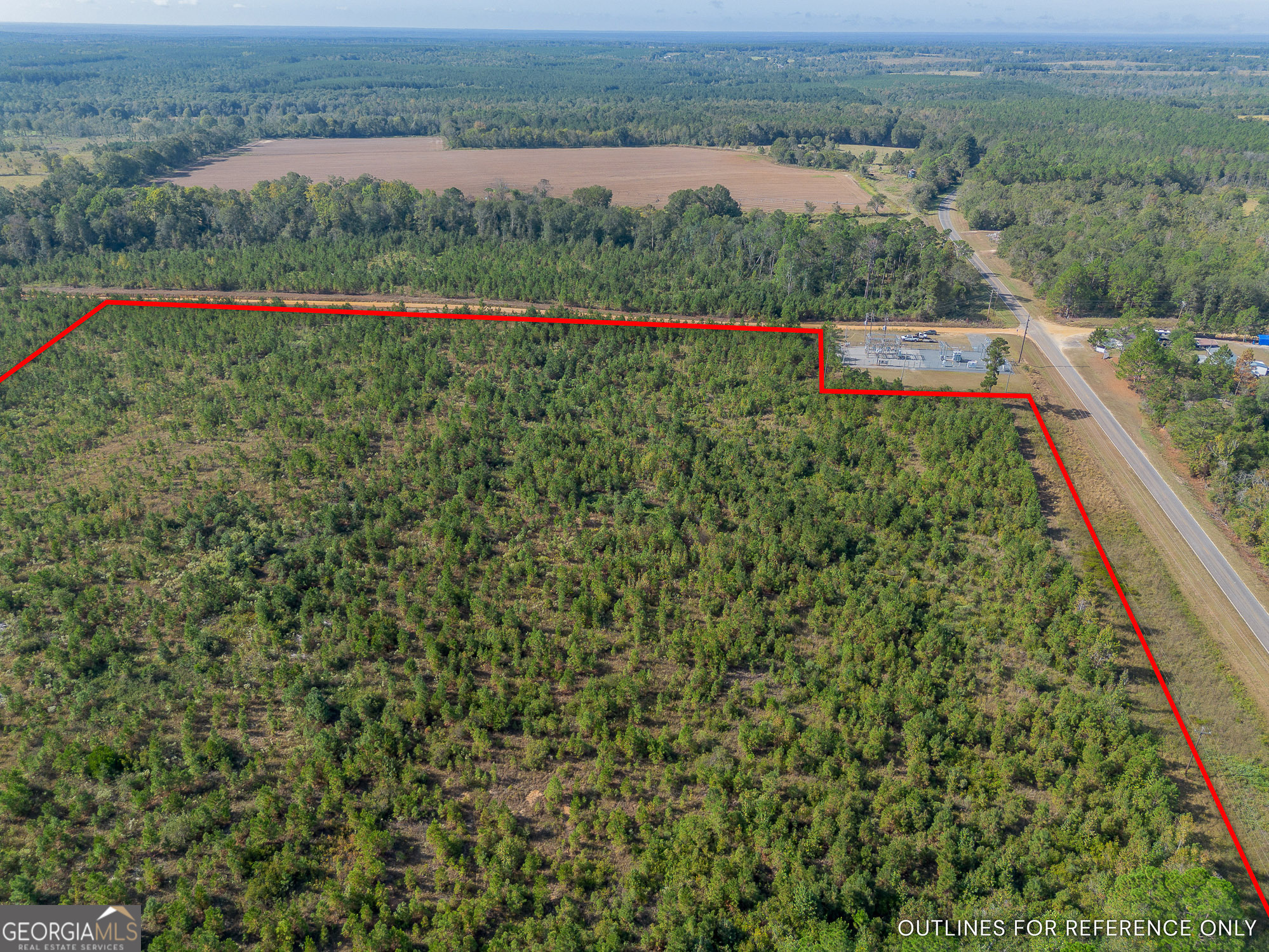 Tract 7 Kinnett Road Jacksonville, GA 31544 - Photo 4 of 10