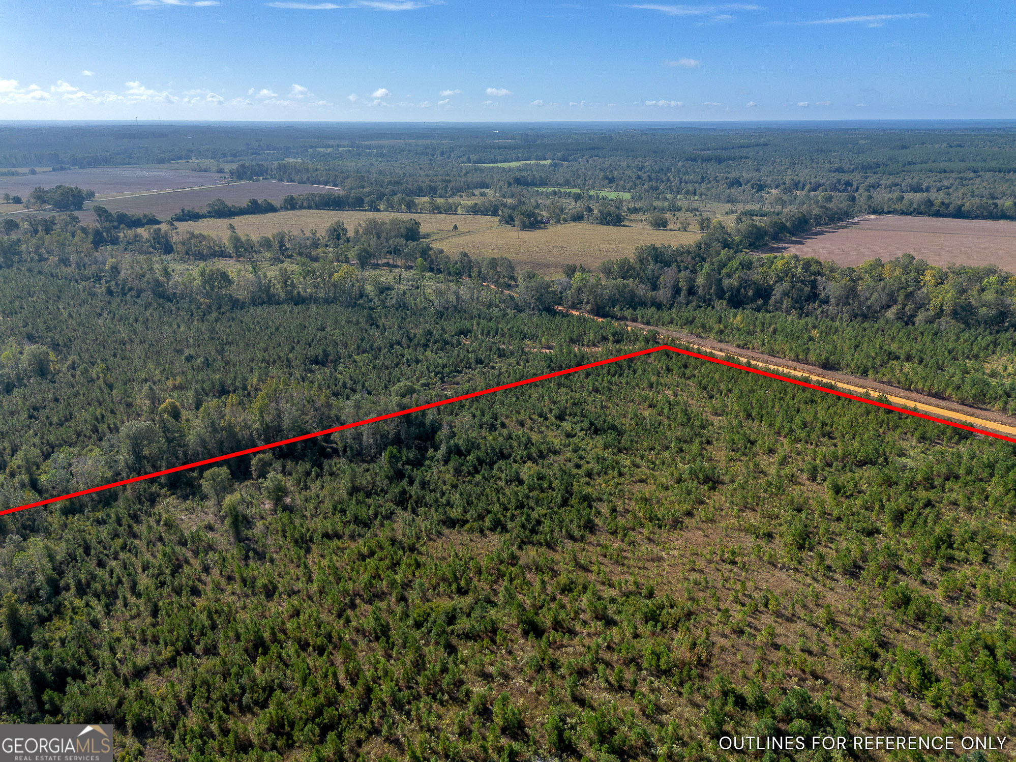 Tract 7 Kinnett Road Jacksonville, GA 31544 - Photo 5 of 10