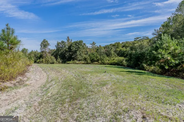 $285,000 | Tract 7 Kinnett Road, Jacksonville, GA 31544