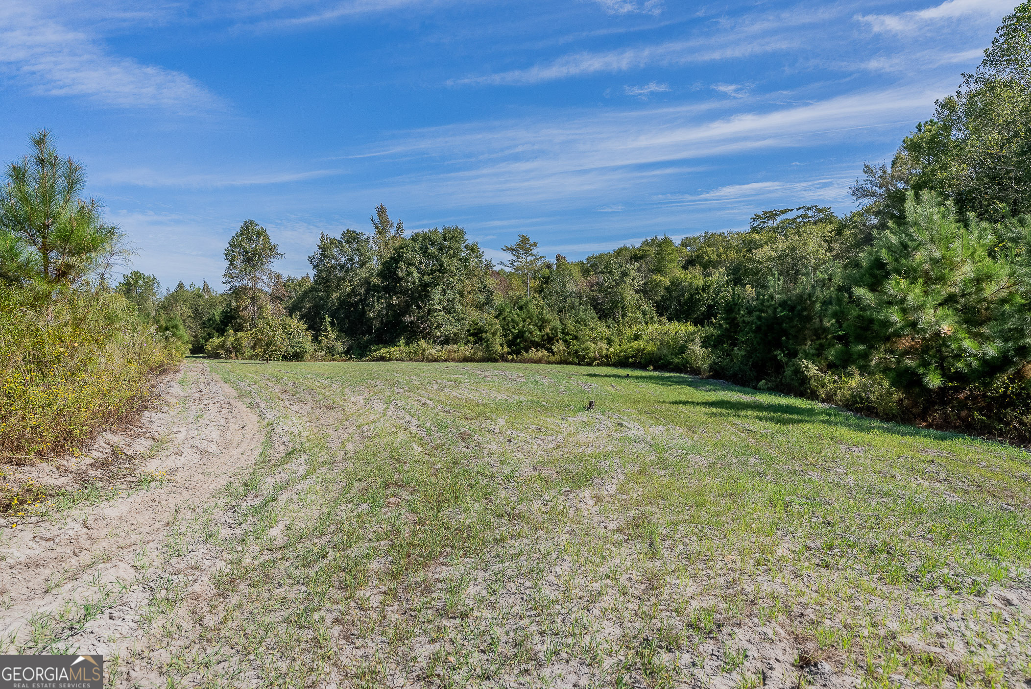 Tract 7 Kinnett Road Jacksonville, GA 31544 - Photo 6 of 10