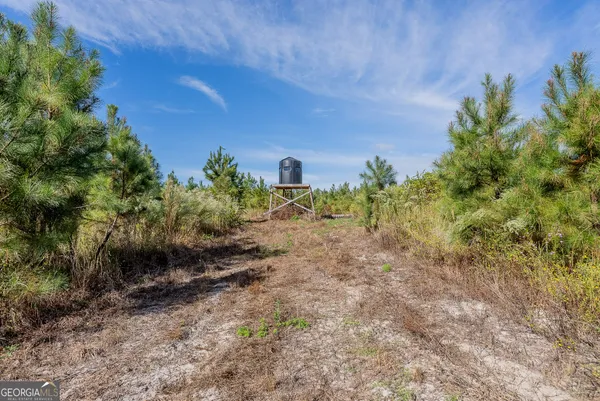 $285,000 | Tract 7 Kinnett Road, Jacksonville, GA 31544