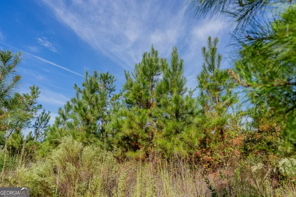 $285,000 | Tract 7 Kinnett Road, Jacksonville, GA 31544