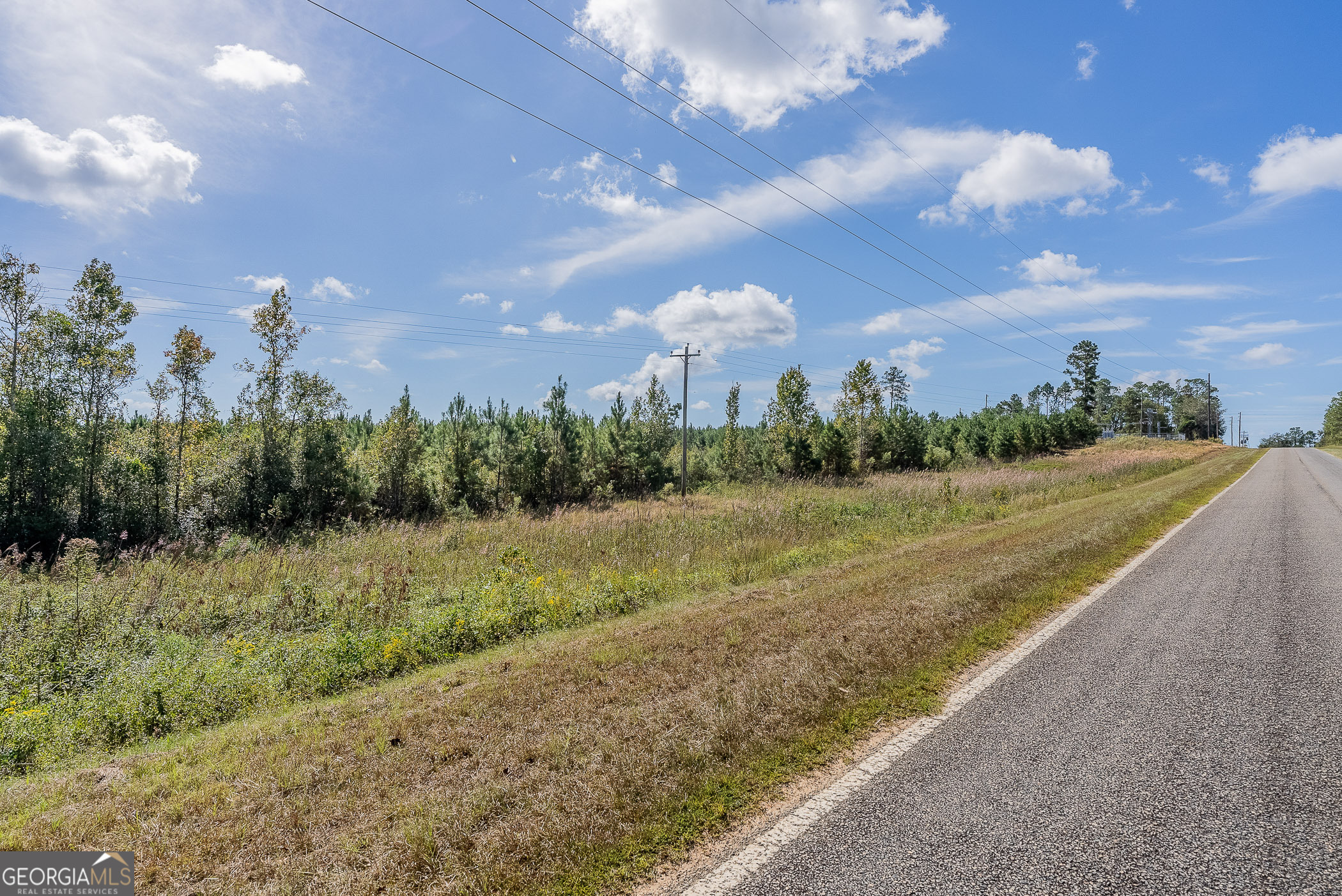 Tract 7 Kinnett Road Jacksonville, GA 31544 - Photo 10 of 10