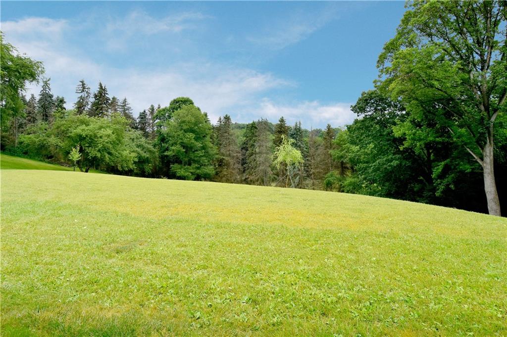 1585 Bellmonte Road Pittsburgh, PA 15237 - Photo 20 of 24 View of the fabulous back yard.