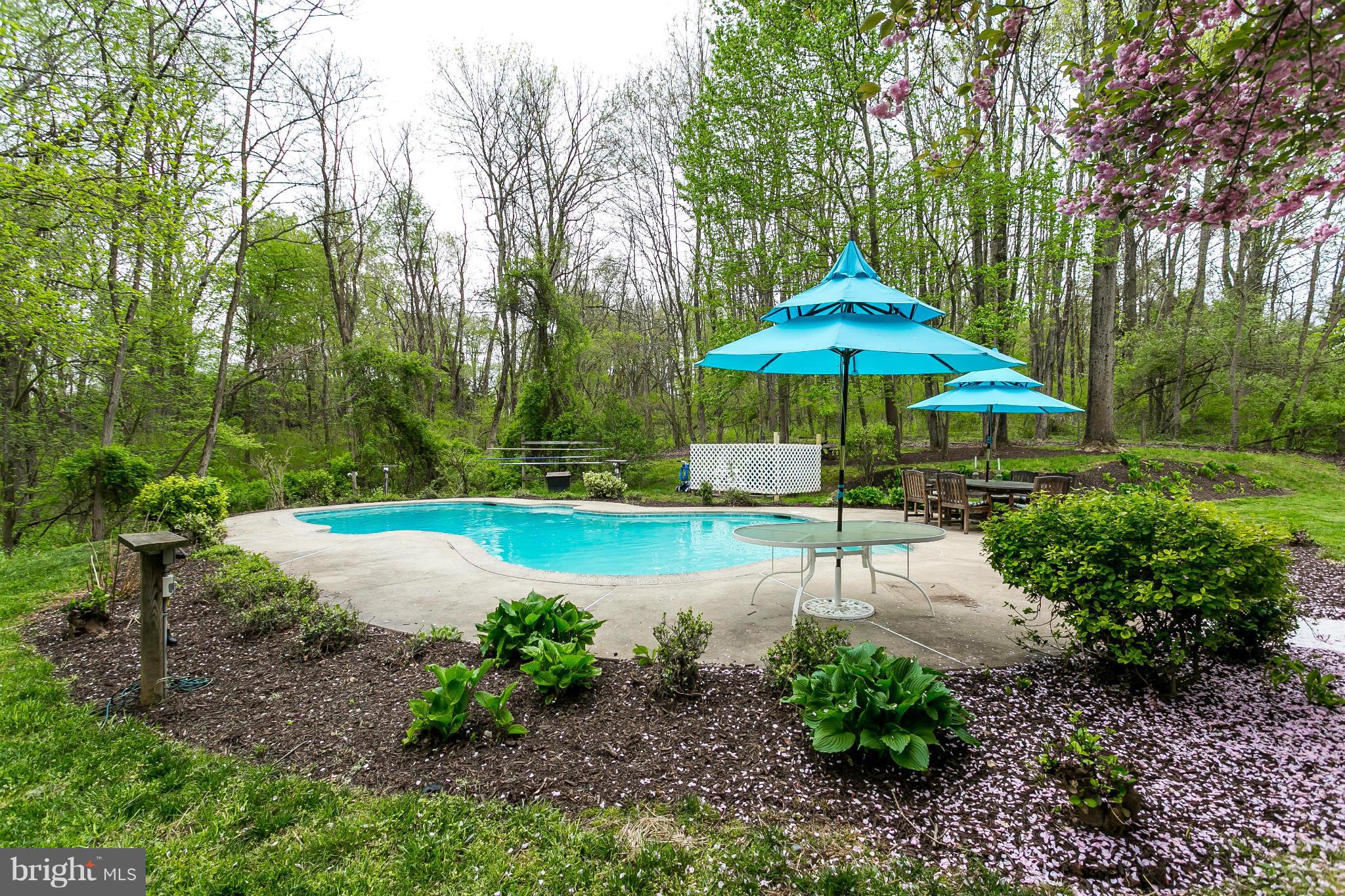 2318 Monkton Road Monkton, MD 21111 - Photo 25 of 30 Pool