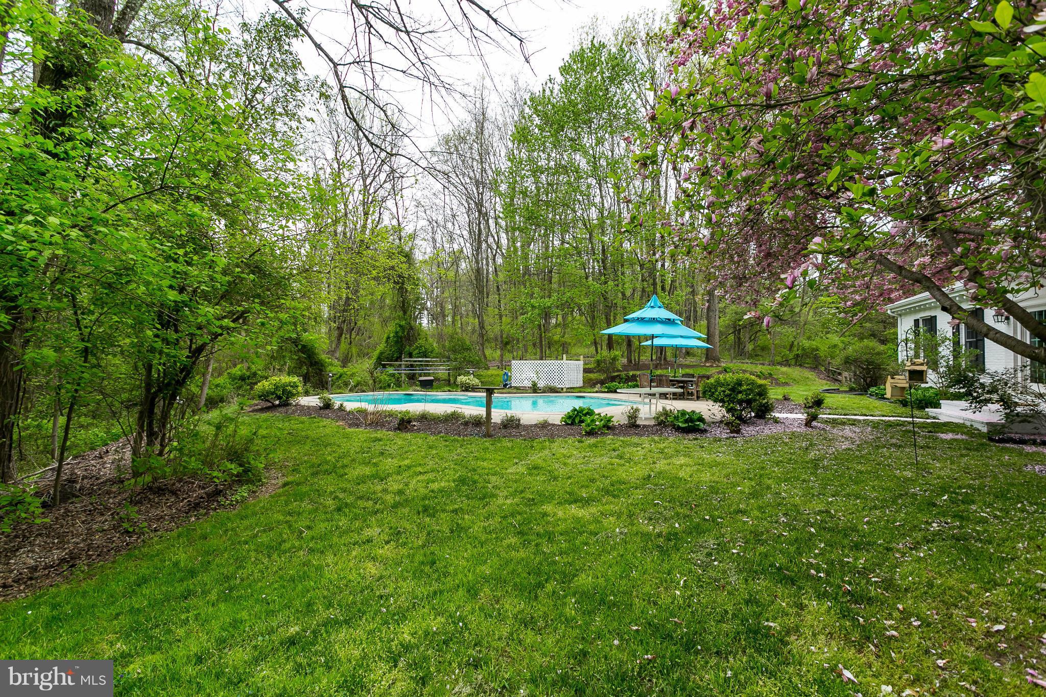 2318 Monkton Road Monkton, MD 21111 - Photo 26 of 30 Back Yard