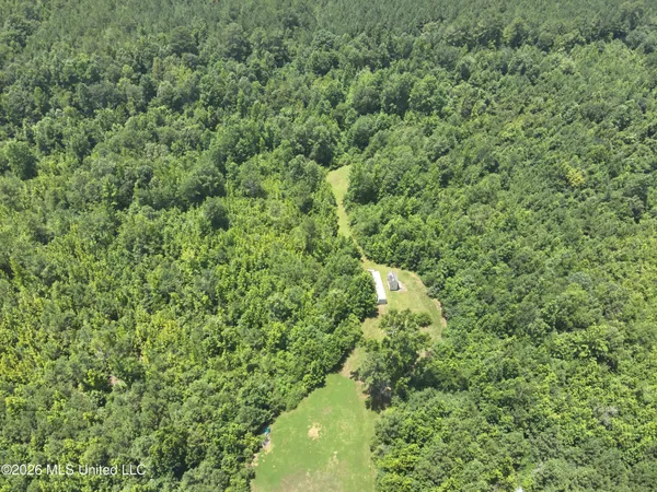 $55,000 | 0 Mississippi 43, Kosciusko, MS 39090
