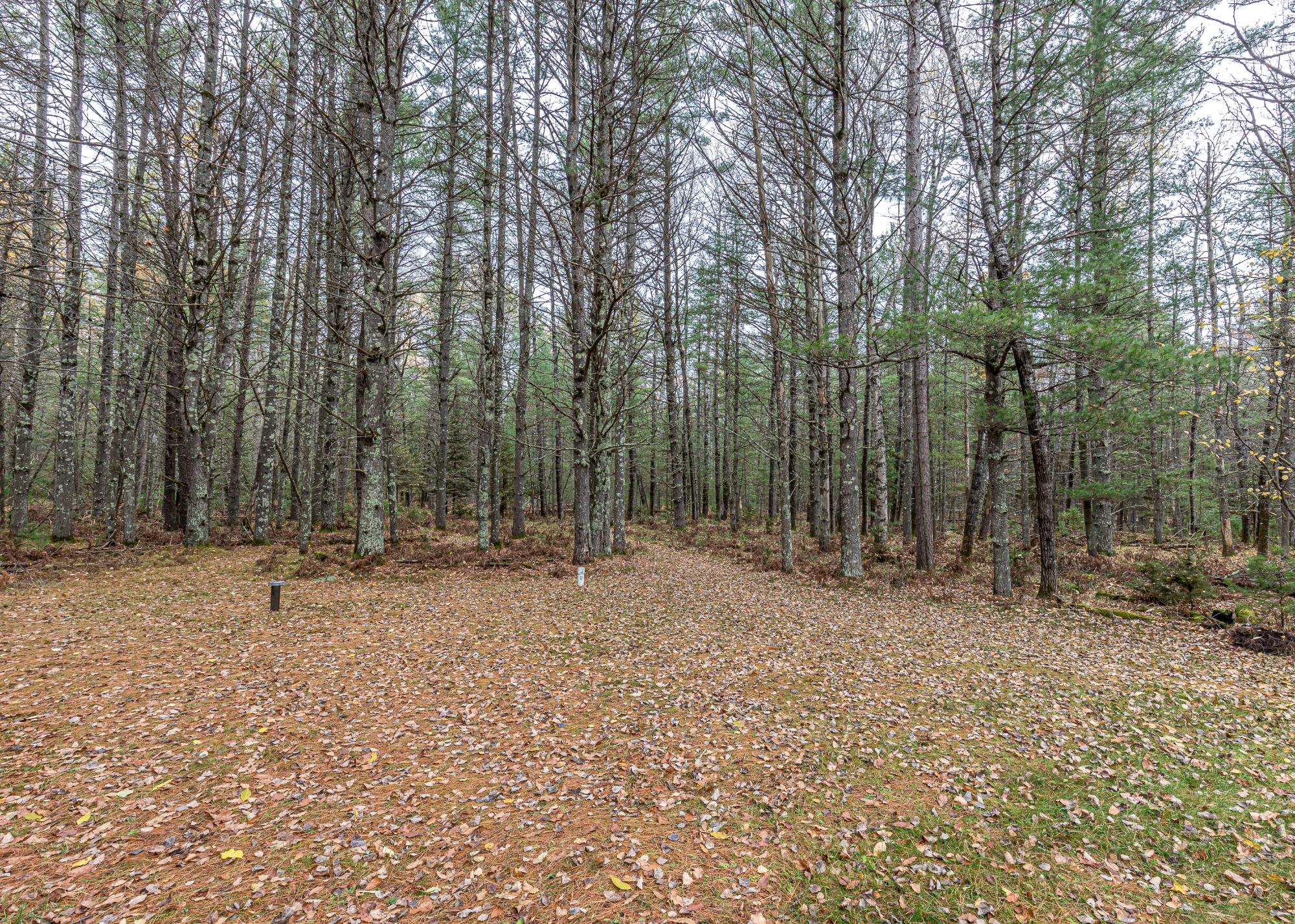 10150 Lower Kaubashine Road Hazelhurst, WI 54531 - Photo 19 of 21 Gallery Image 19