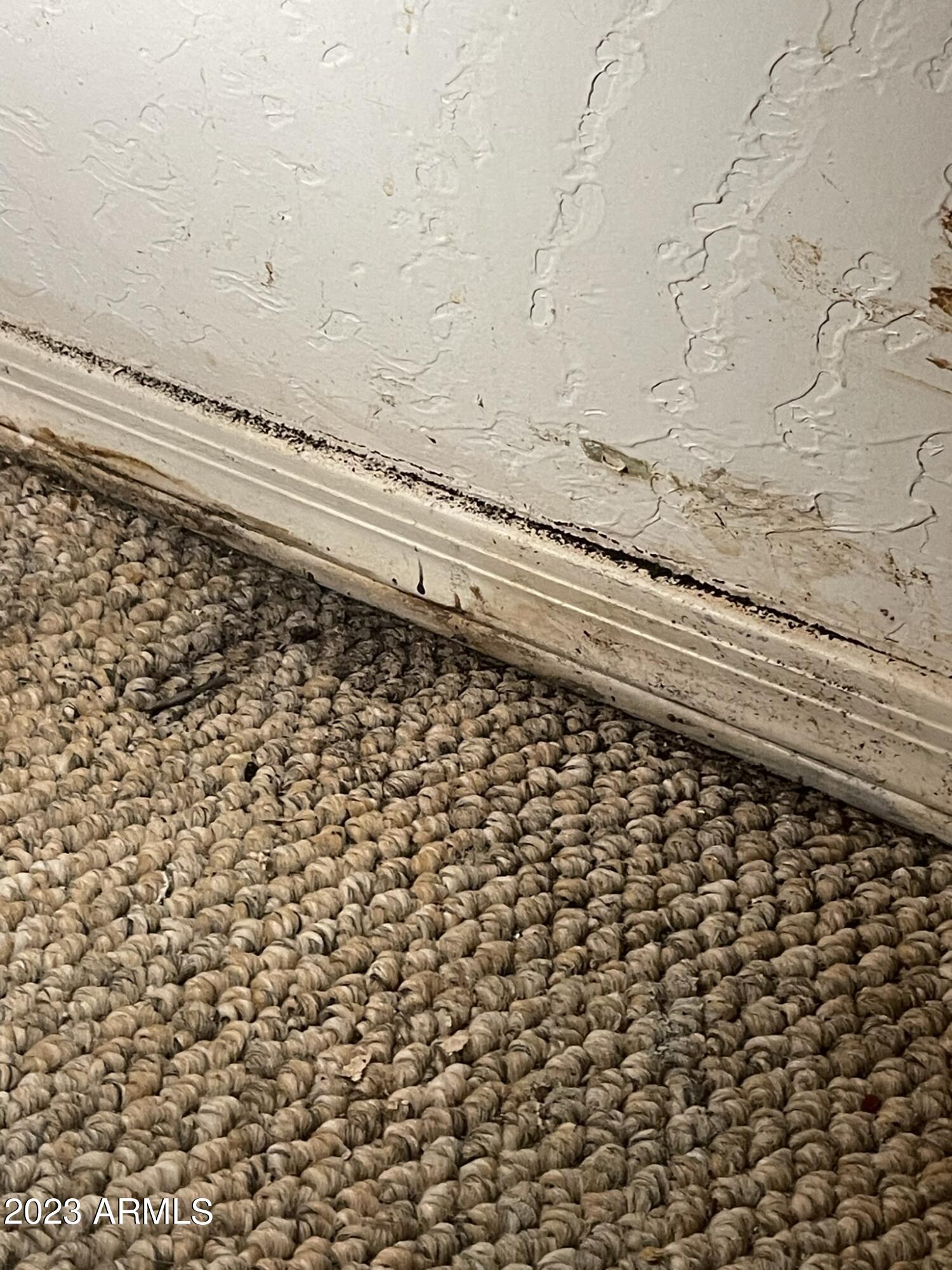 2329 North Recker Road, Unit 70 Mesa, AZ 85215 - Photo 54 of 59 WATER DAMAGE/STAIN
