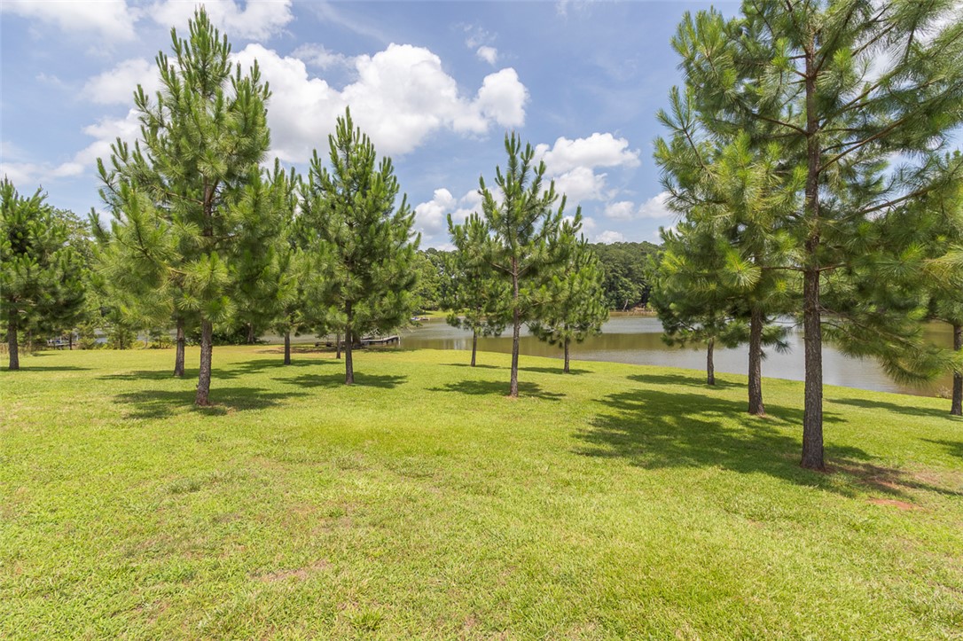 308 Arcadia Drive Anderson, SC 29621 - Photo 46 of 50 Gallery Image 46