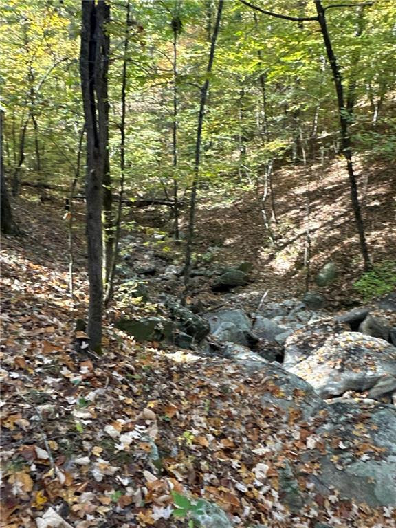 3 Dennis Creek Road Talbotton, GA 31827 - Photo 1 of 1 Gallery Image 1