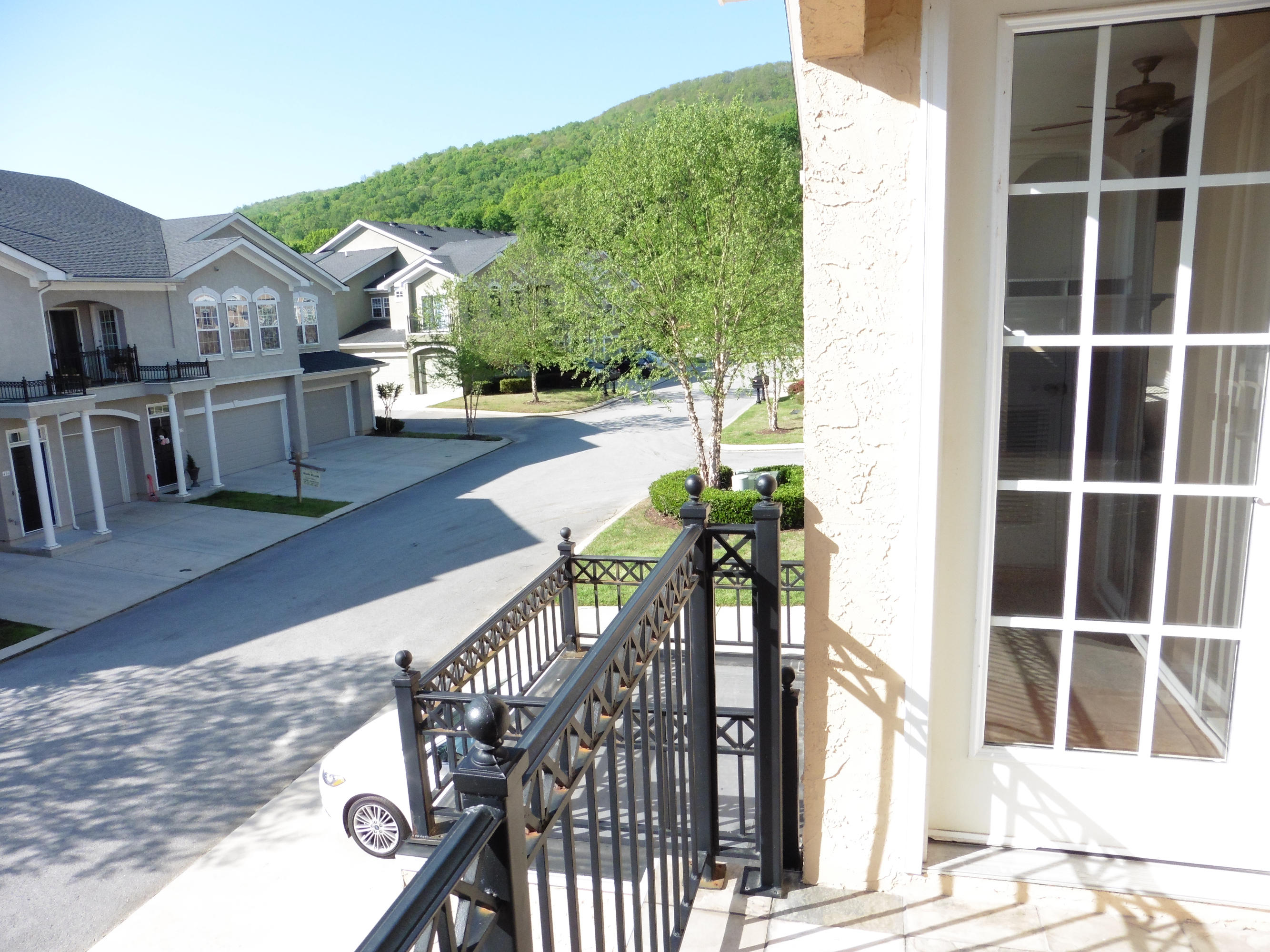 311 Renaissance Court Chattanooga, TN 37419 - Photo 13 of 16 P1000234