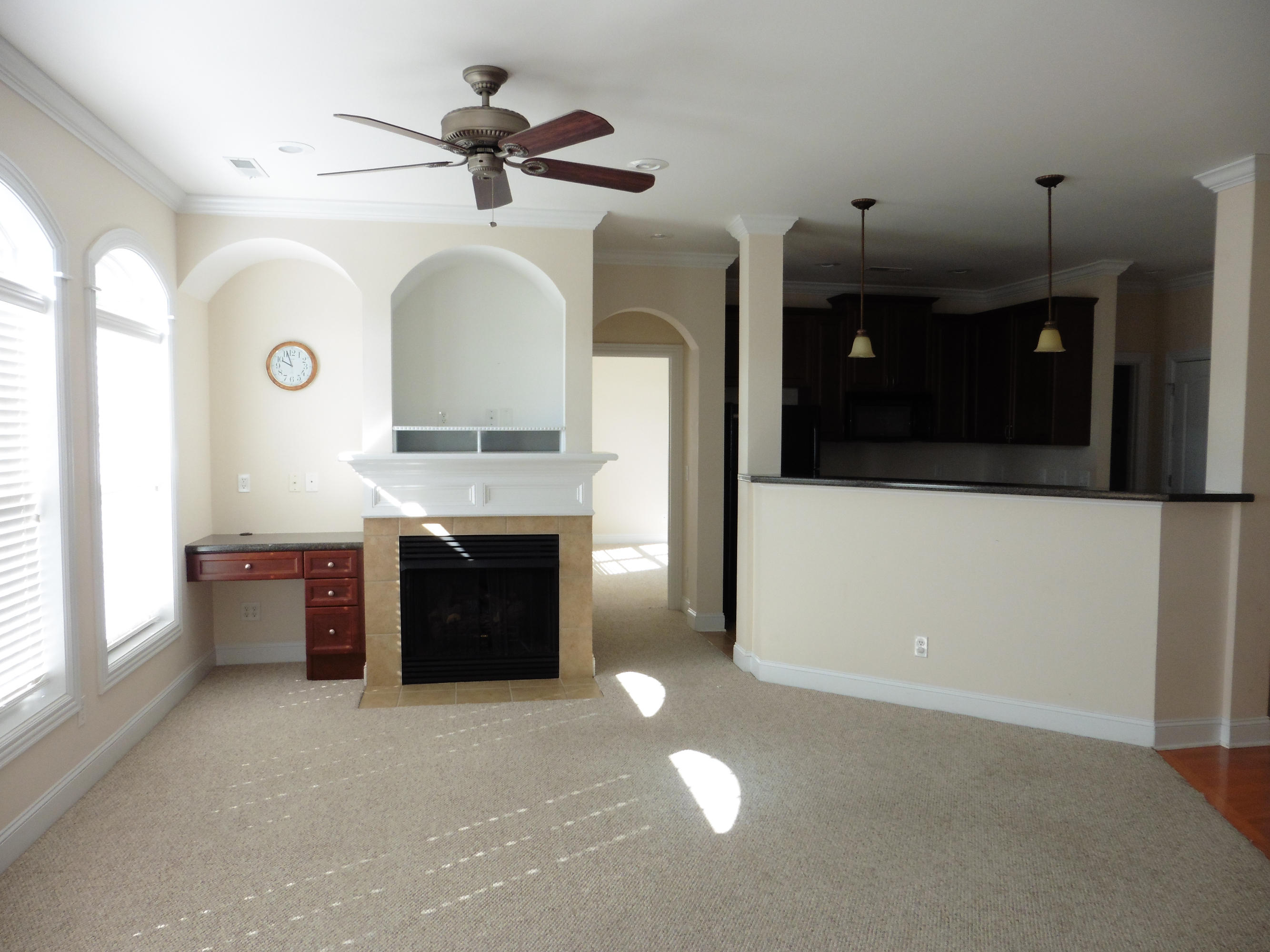 311 Renaissance Court Chattanooga, TN 37419 - Photo 3 of 16 P1000235