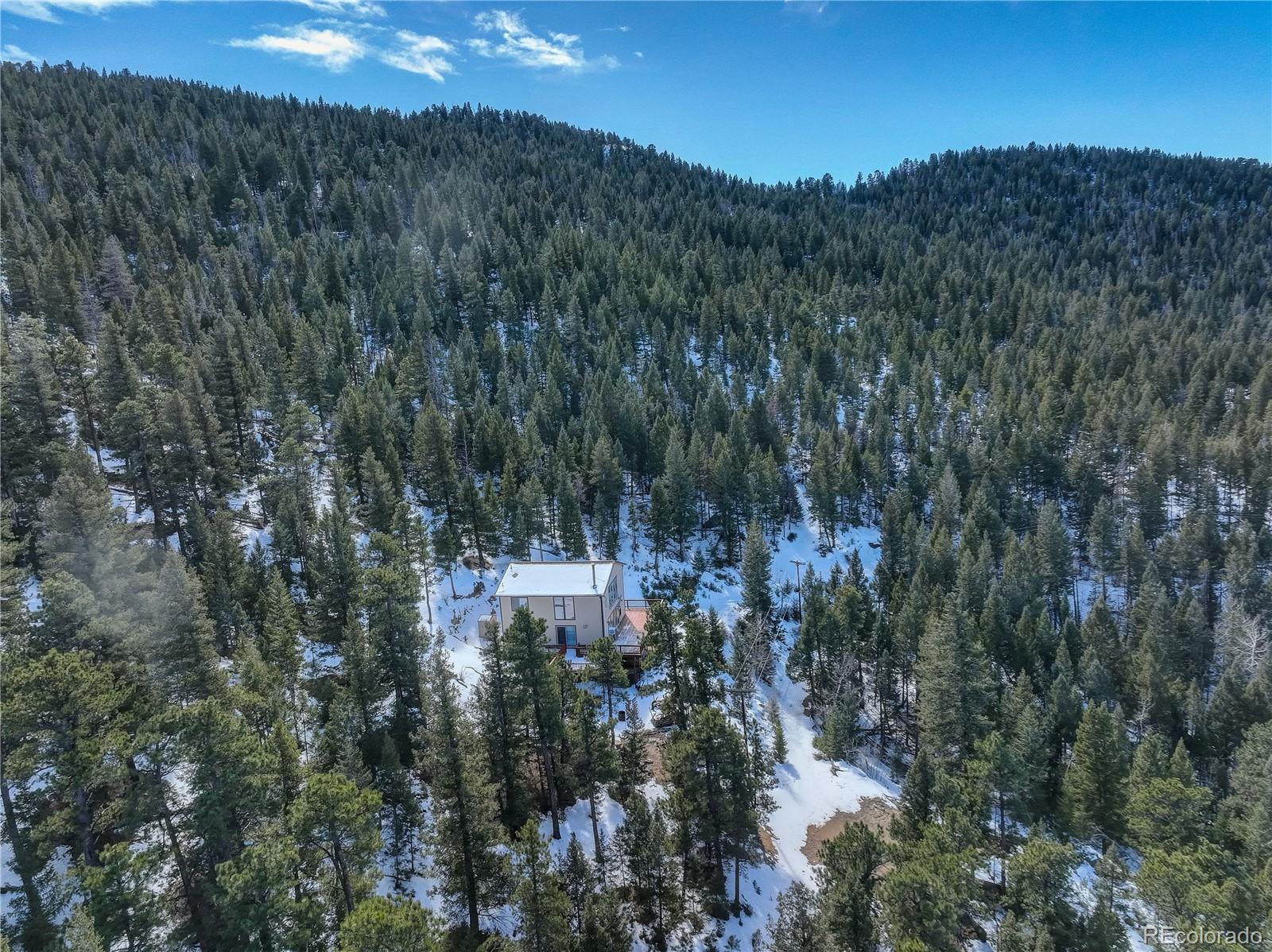 33804 Bergen View Trail Evergreen, CO 80439 - Photo 7 of 38