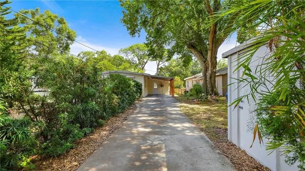 a view of a yard with plants and trees