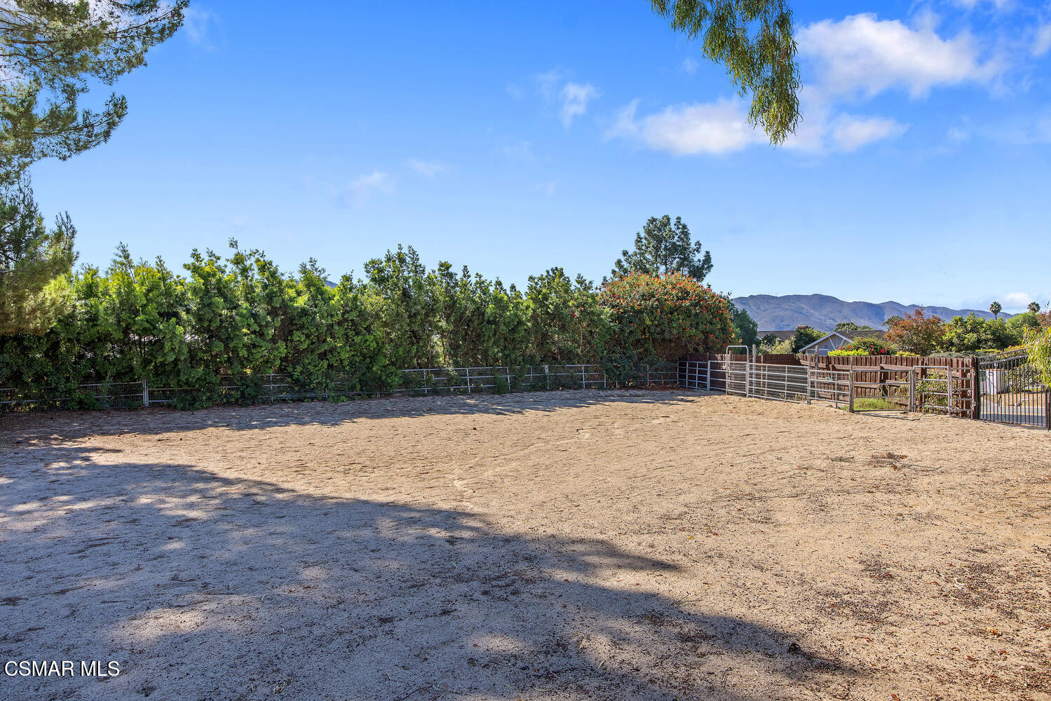 11316 Barranca Road Camarillo, CA 93012 - Photo 34 of 44 a view of a backyard of a house