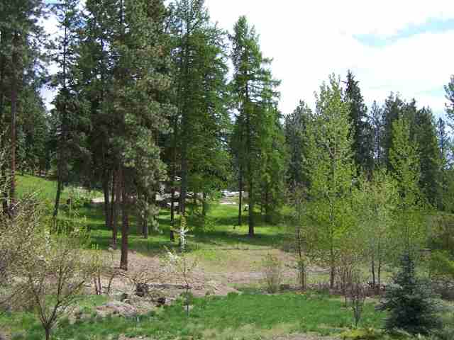 786 C Arden Butte Road Colville, WA 99114 - Photo 9 of 9 Gallery Image 9