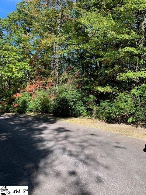 37 Cliff Ridge Drive Cleveland, SC 29635 - Photo 2 of 8