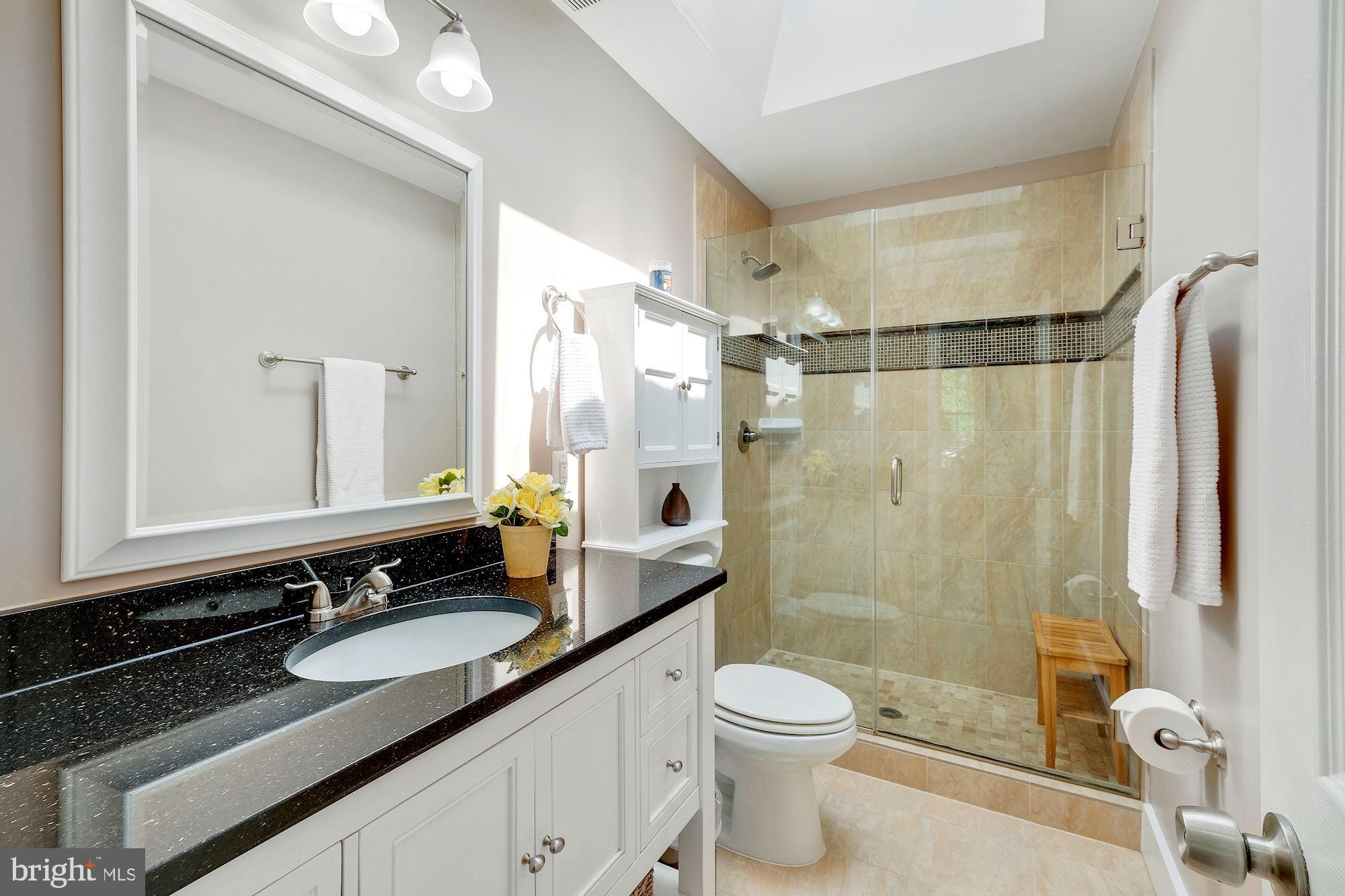 535 23rd Place Northeast Washington, DC 20002 - Photo 16 of 36 Beautiful Master Bathroom with skylight