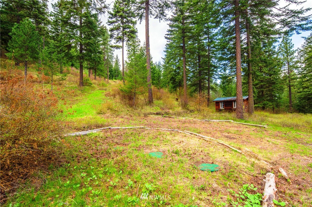 100 Elk Run Road Cle Elum, WA 98922 - Photo 19 of 21 Gallery Image 19