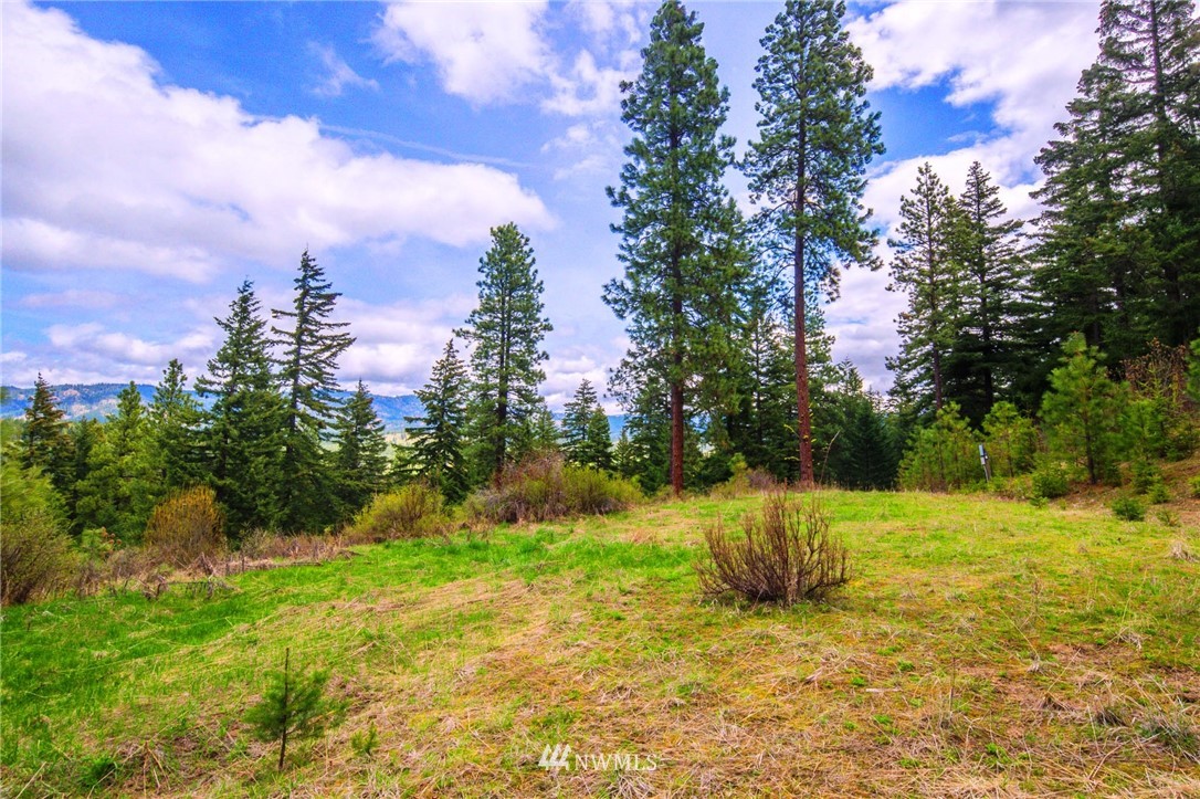 100 Elk Run Road Cle Elum, WA 98922 - Photo 20 of 21 Gallery Image 20
