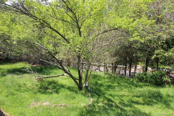 74 High Road Pond Eddy, NY 12770 - Photo 4 of 31