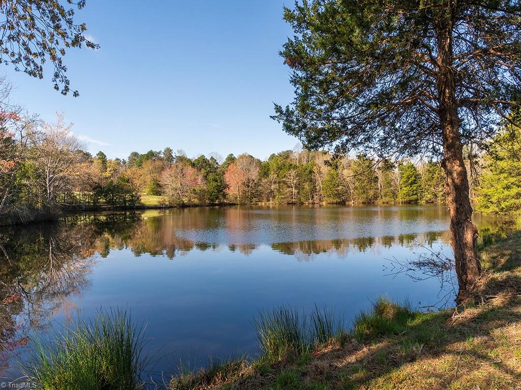 5448 Mt Vernon Church Road Burlington, NC 27217 - Photo 44 of 50