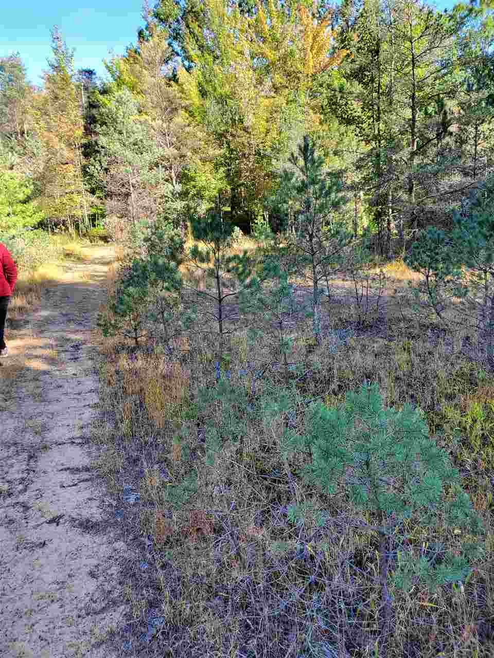 West Fike Road Coleman, MI 48618 - Photo 7 of 26