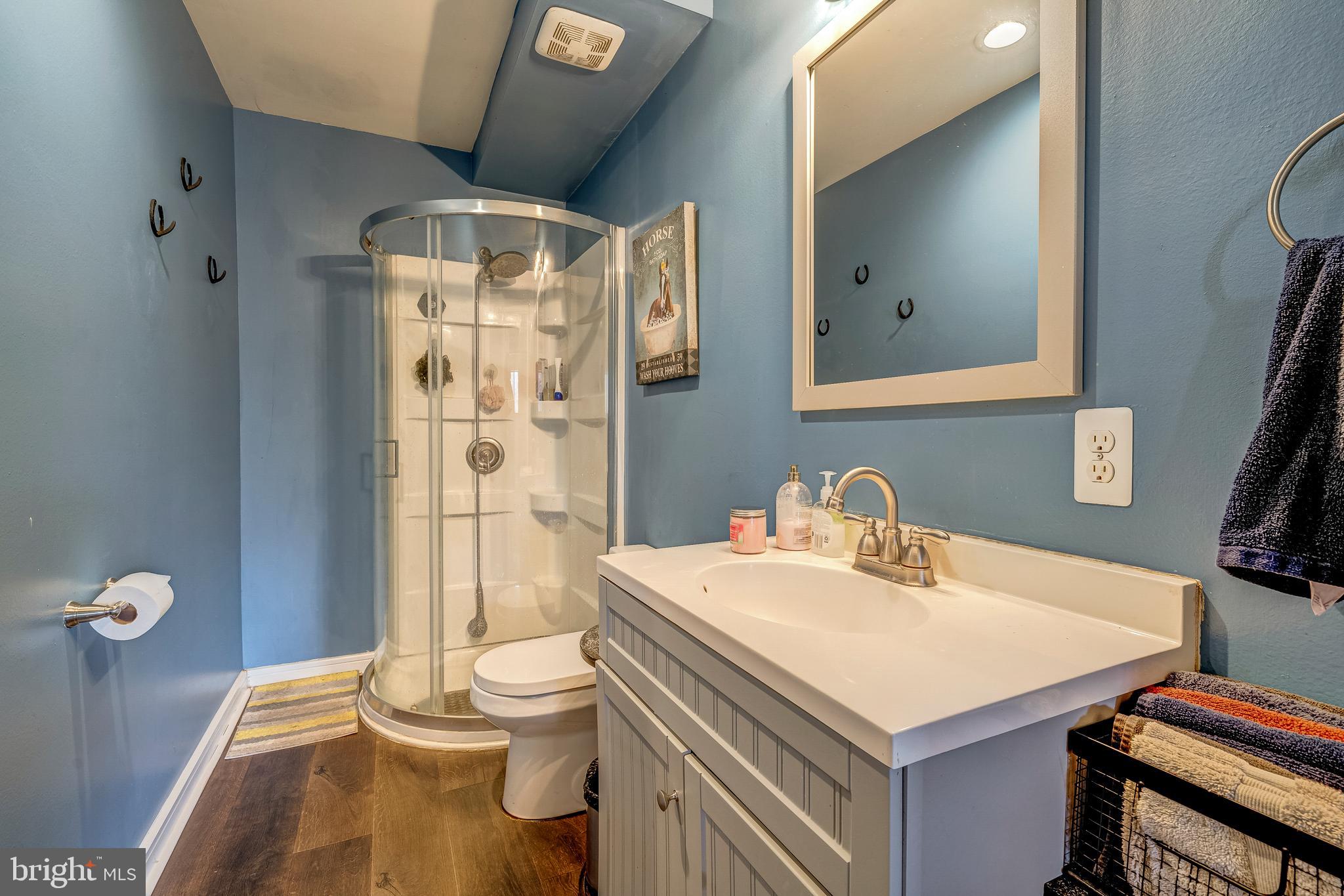 19209 Croom Road Brandywine, MD 20613 - Photo 59 of 95 a bathroom with a sink a toilet and shower