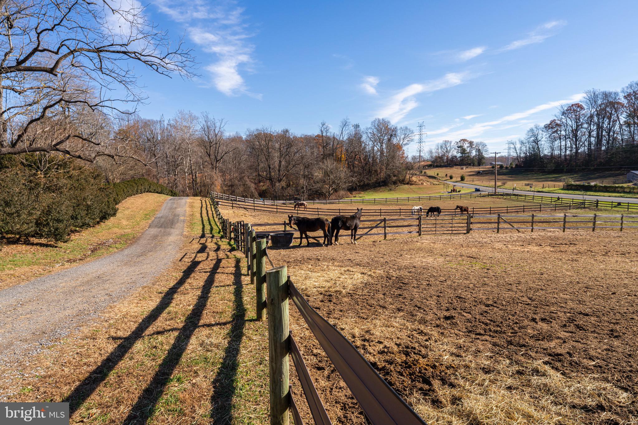 19209 Croom Road Brandywine, MD 20613 - Photo 88 of 95
