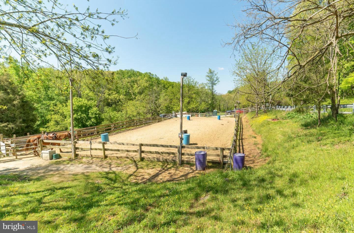 7613 Dogwood Road Windsor Mill, MD 21244 - Photo 4 of 6 a view of yard