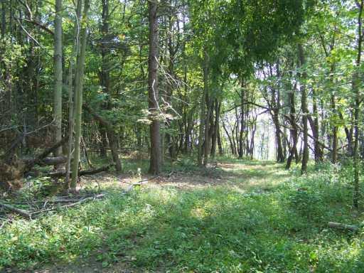 692 Independence Road Aliquippa, PA 15001 - Photo 4 of 5 Other.