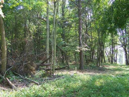 692 Independence Road Aliquippa, PA 15001 - Photo 5 of 5 Other.