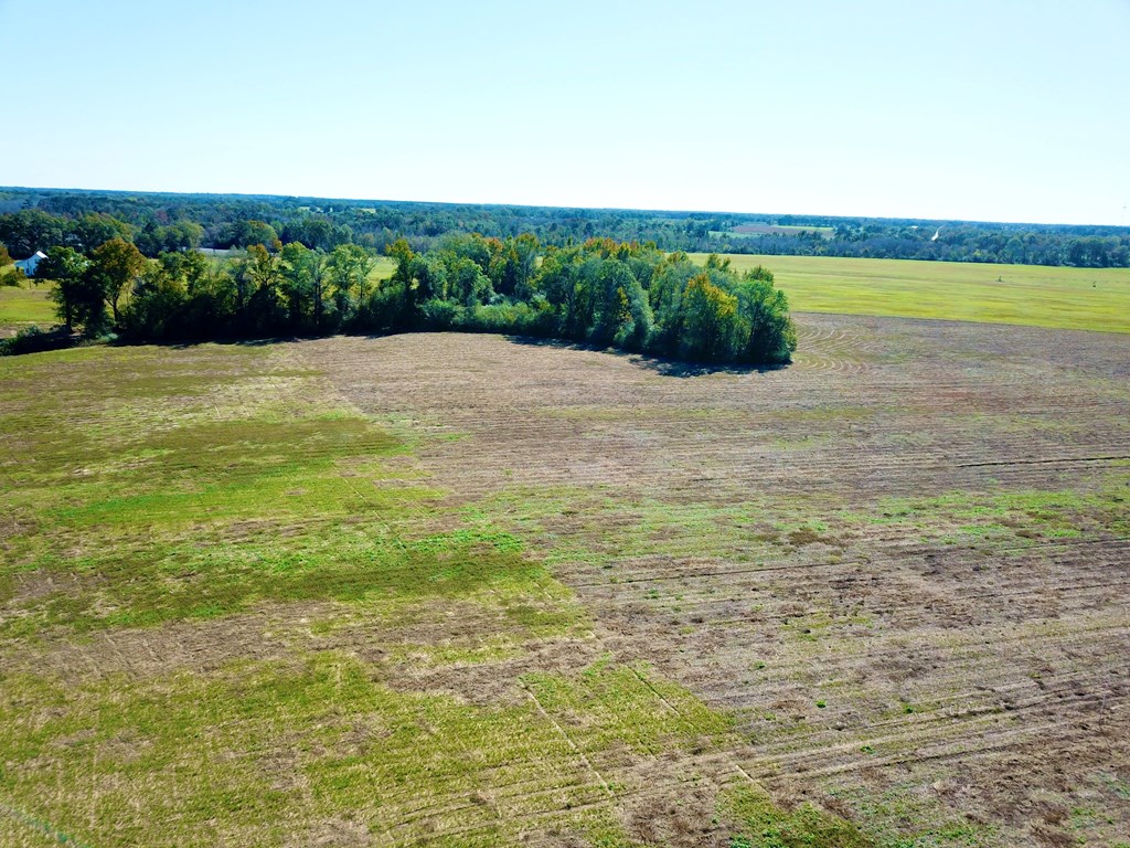 92 County Road 92 Slocomb, AL 36375 - Photo 5 of 8