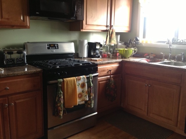 10433 Dearlove Road, Unit 5 Glenview, IL 60025 - Photo 3 of 10 a kitchen with granite countertop a stove a sink and a microwave