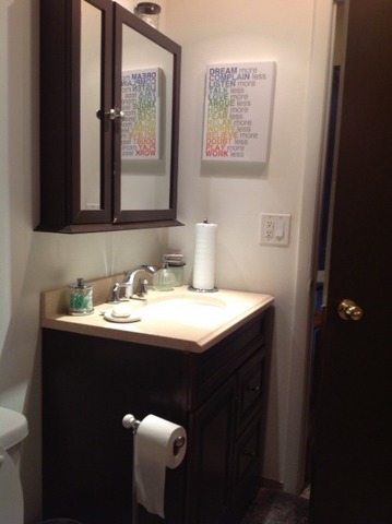 10433 Dearlove Road, Unit 5 Glenview, IL 60025 - Photo 9 of 10 a bathroom with a sink and a mirror