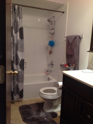 10433 Dearlove Road, Unit 5 Glenview, IL 60025 - Photo 10 of 10 a bathroom with a sink toilet and shower
