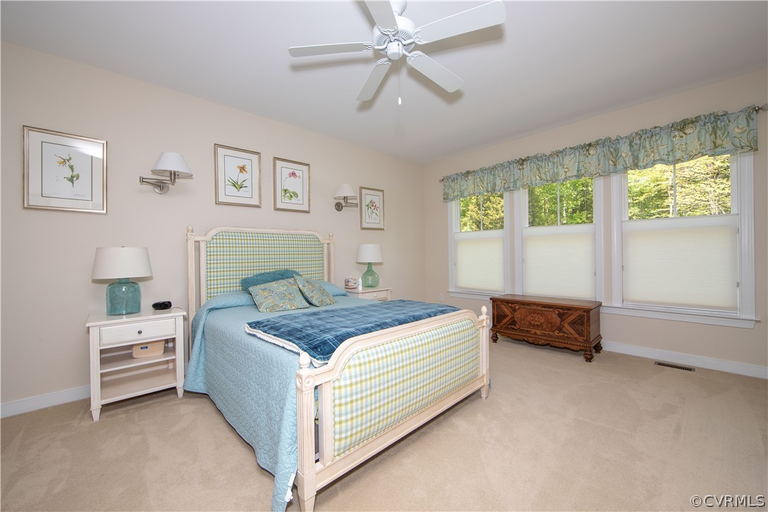 163 Button Bush Road Richmond, VA 23238 - Photo 15 of 46 a bedroom with a bed and a window