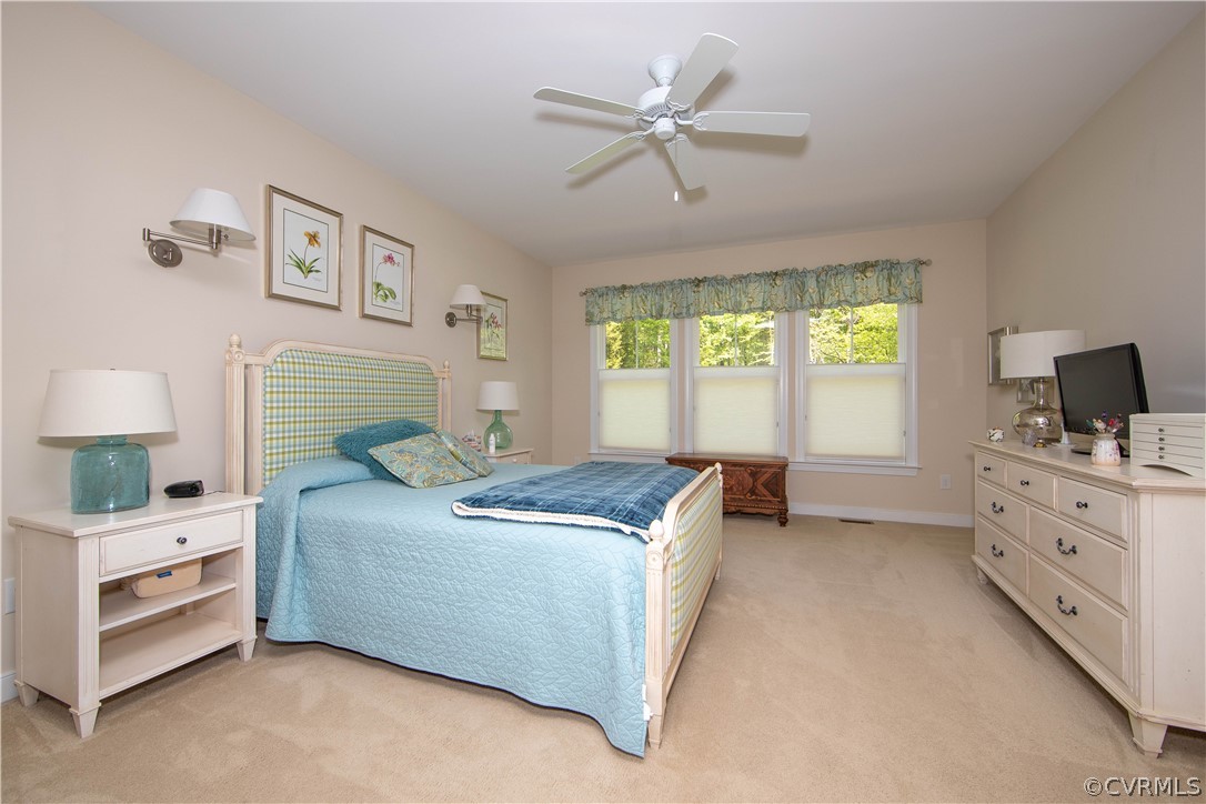 163 Button Bush Road Richmond, VA 23238 - Photo 17 of 46 a bedroom with a bed and a window