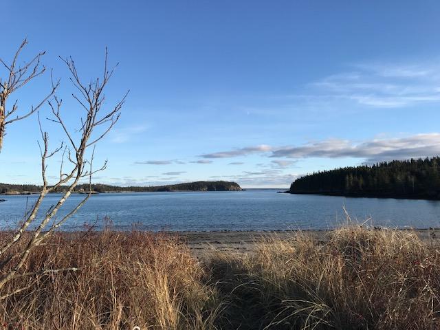 25 Jones Road Lubec, ME 04652 - Photo 46 of 48 IMG_5529