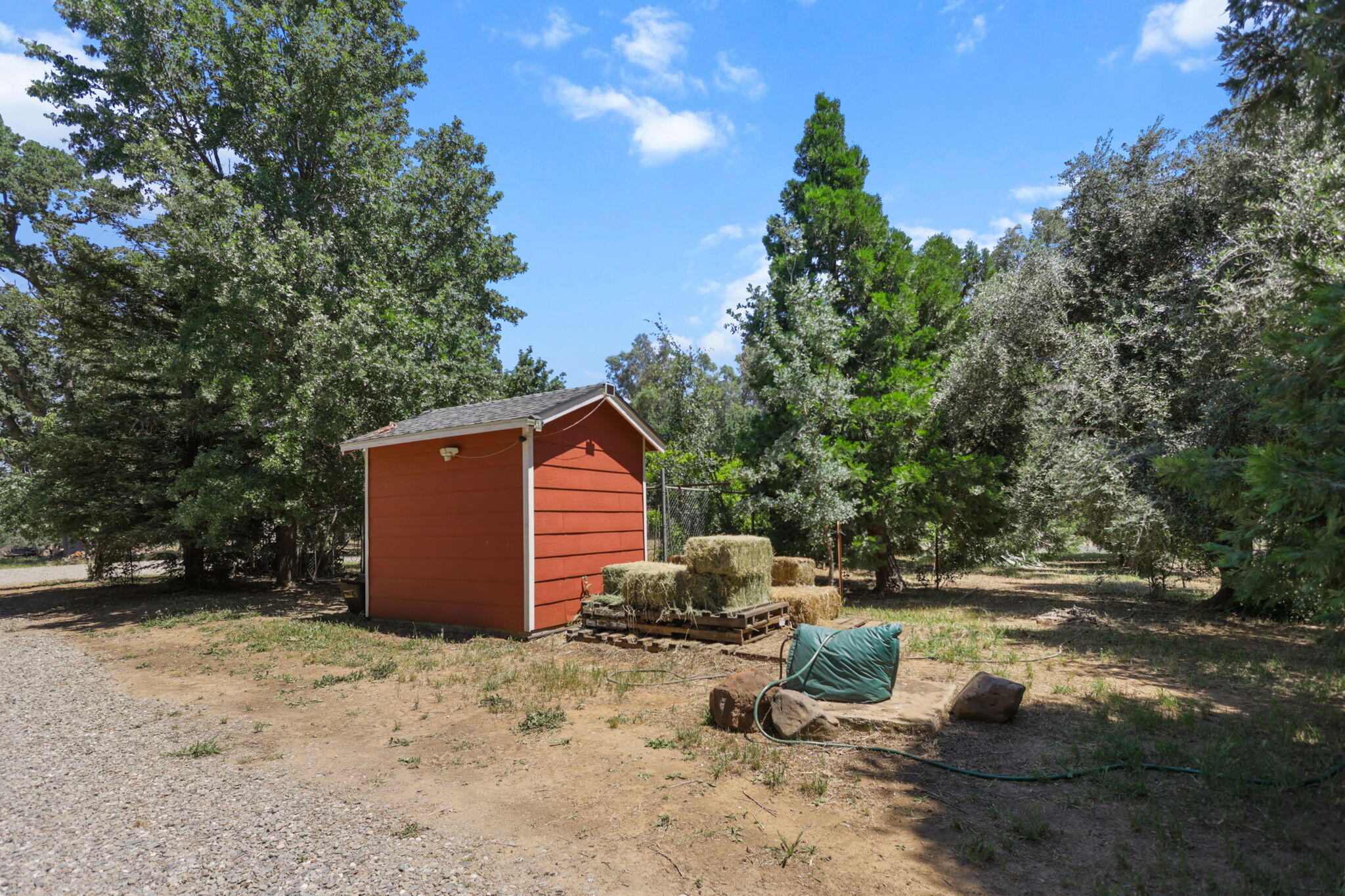 12481 Paskenta Road Red Bluff, CA 96080 - Photo 61 of 82 27-web-or-mls-8Q0A0310