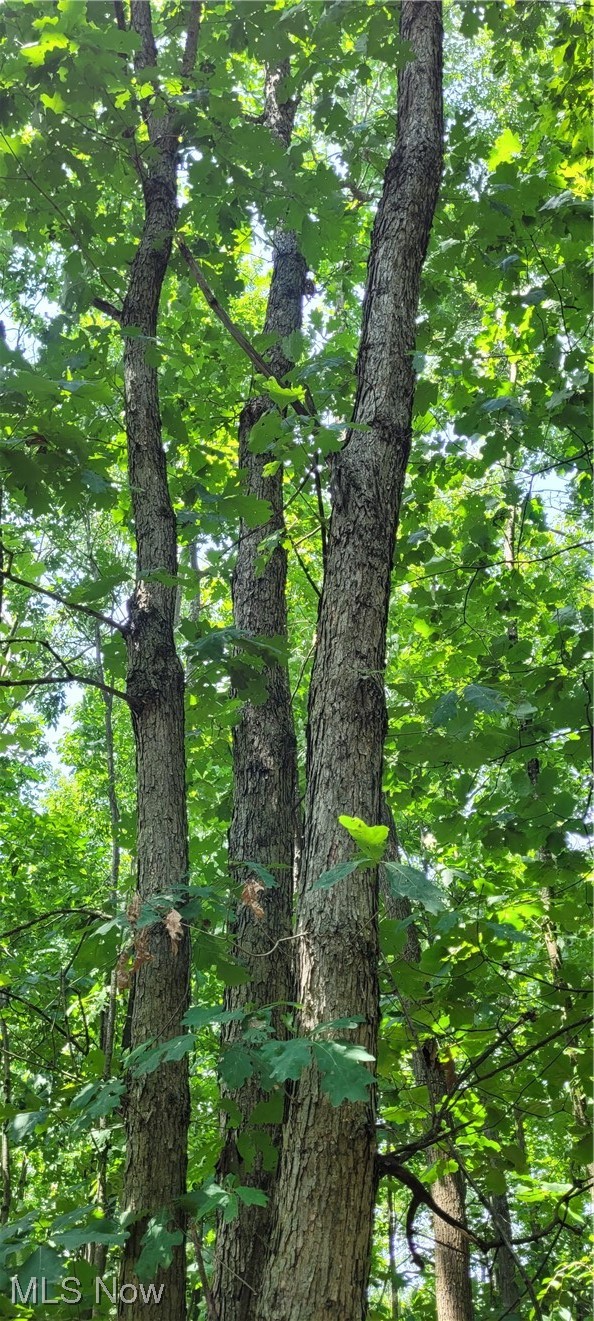 Southeast Edwards Ridge Road Southeast Uhrichsville, OH 44683 - Photo 22 of 34 Gallery Image 22