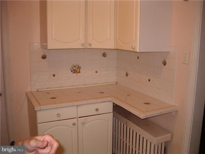 10 Valley View Road Rose Valley, PA 19063 - Photo 6 of 14 a view of white cabinets