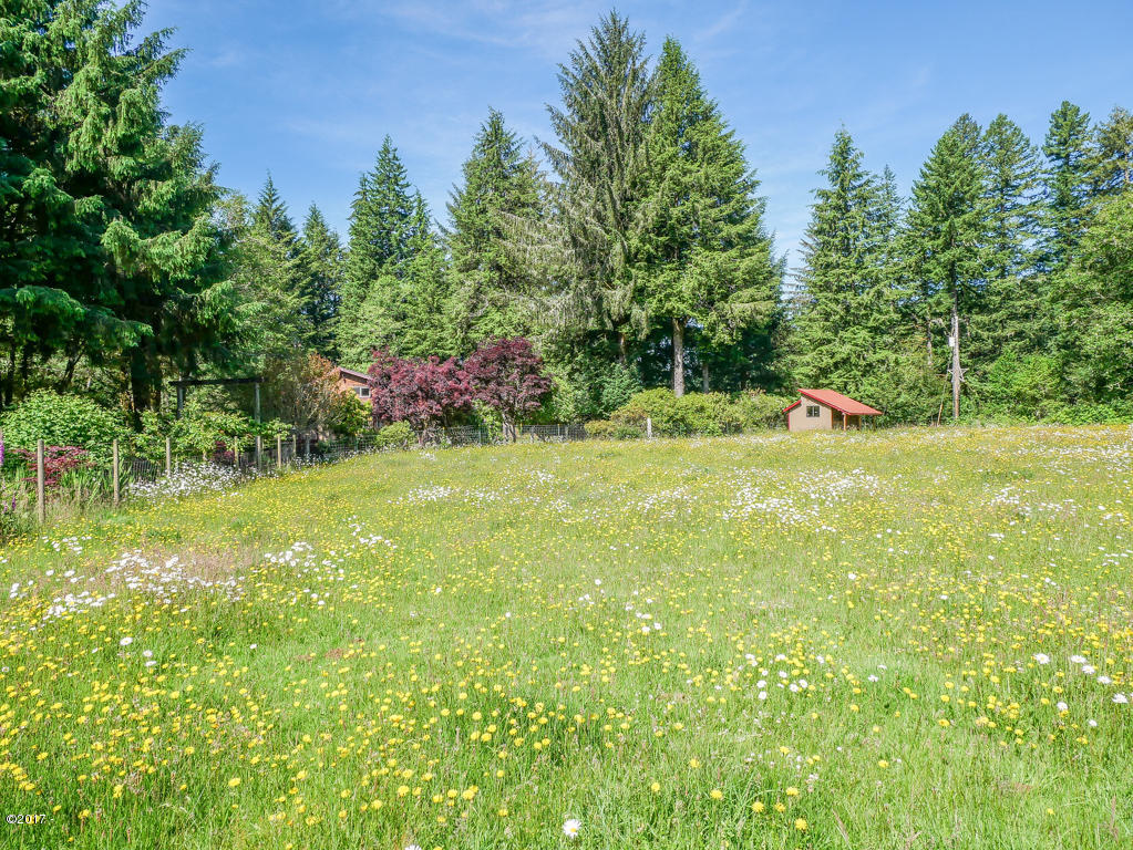 847 Hamer Road Siletz, OR 97380 - Photo 56 of 79 Pasture