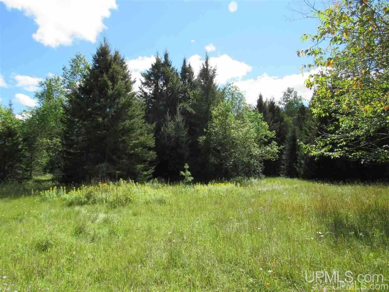 Tbd Tbd Off Stagecoach Road Michigamme, MI 49861 - Photo 27 of 37