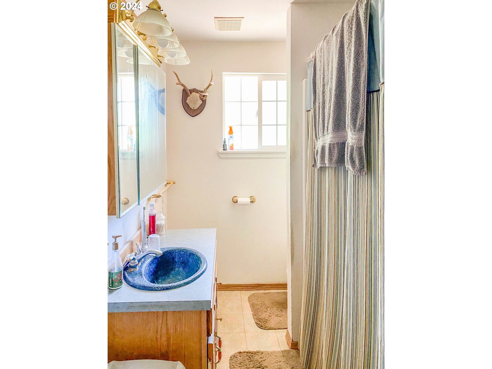 881 Northeast Newton Creek Road Roseburg, OR 97470 - Photo 7 of 11 a bathroom with a sink and a mirror