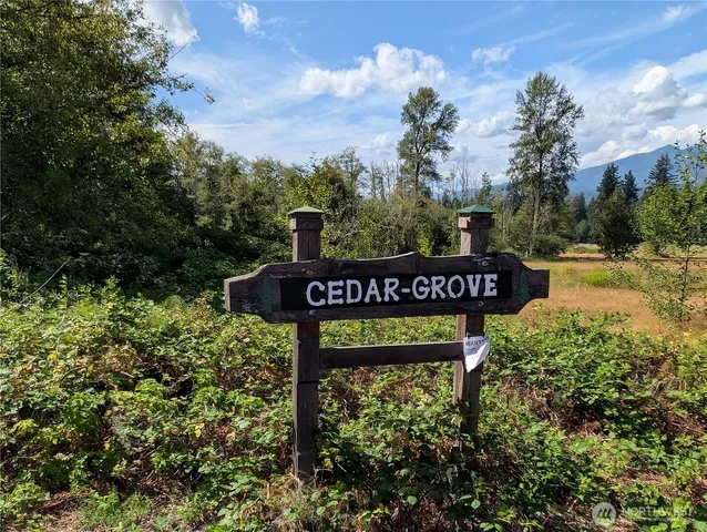 a view of a street sign under a large tree