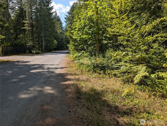 a view of outdoor space and trees