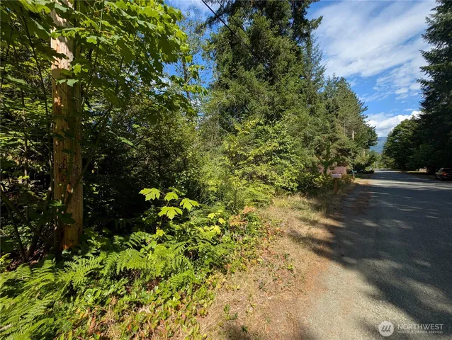 a backyard of a house with lots of green space