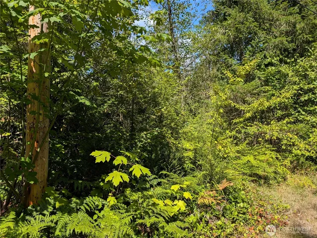 a backyard of a house with lots of green space and garden